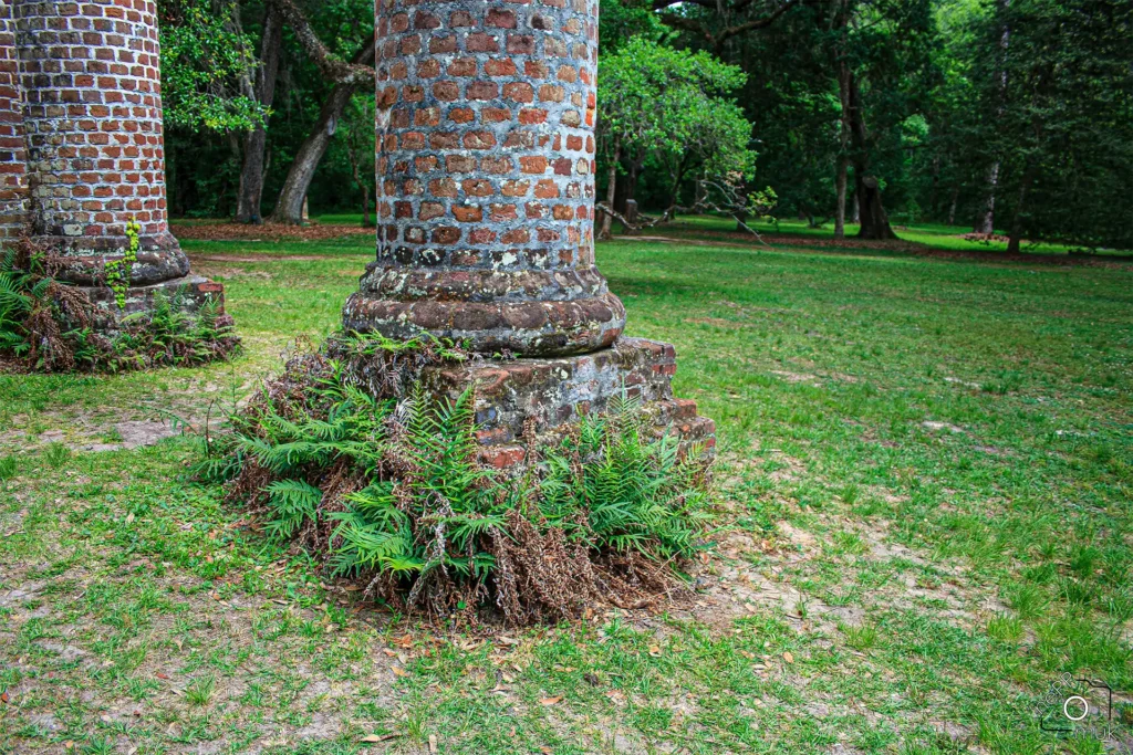 Old Sheldon Church Ruins © Hannes Endreß